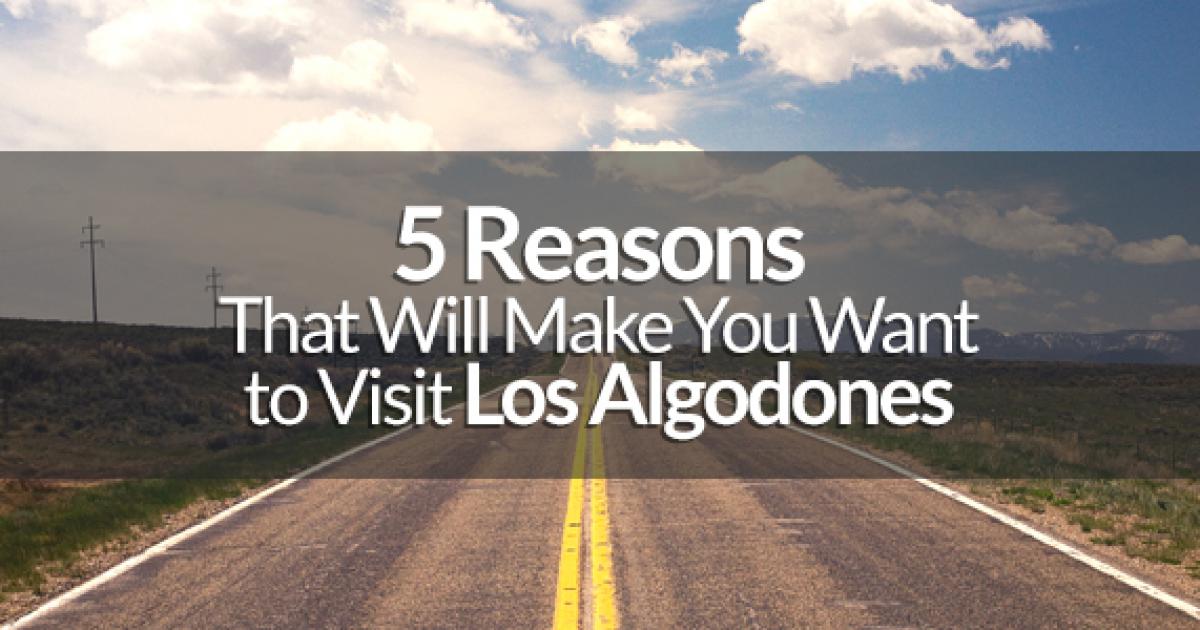 5 Reasons That Will Make You Want to Visit Los Algodones Mexico 2023